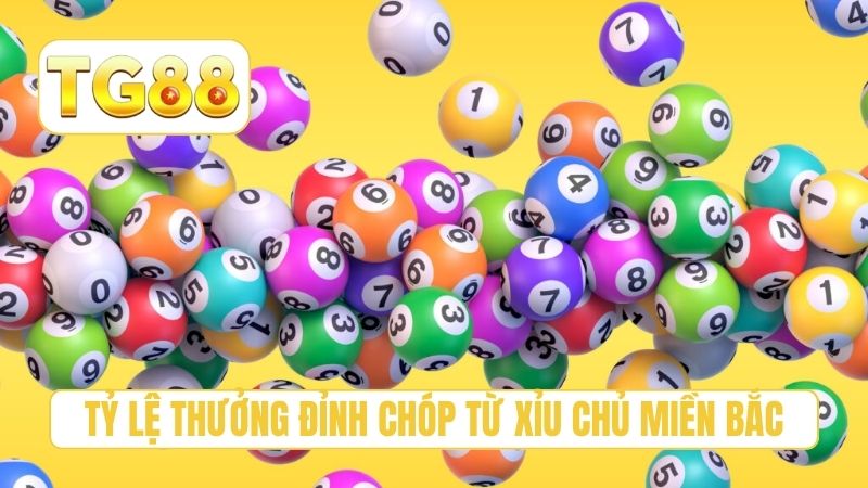 Tỷ lệ thưởng đỉnh chóp từ xỉu chủ miền bắc